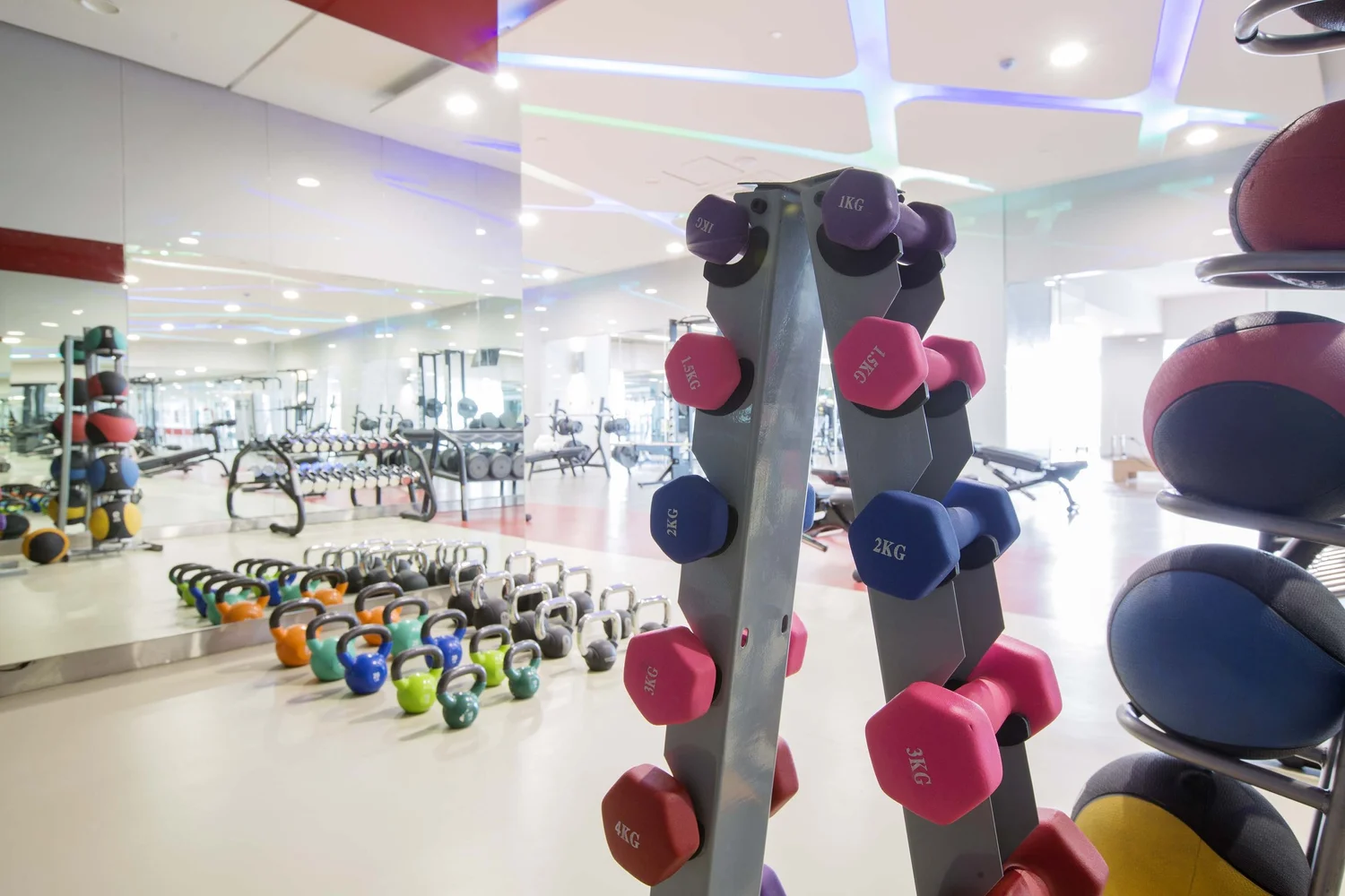 GYM
